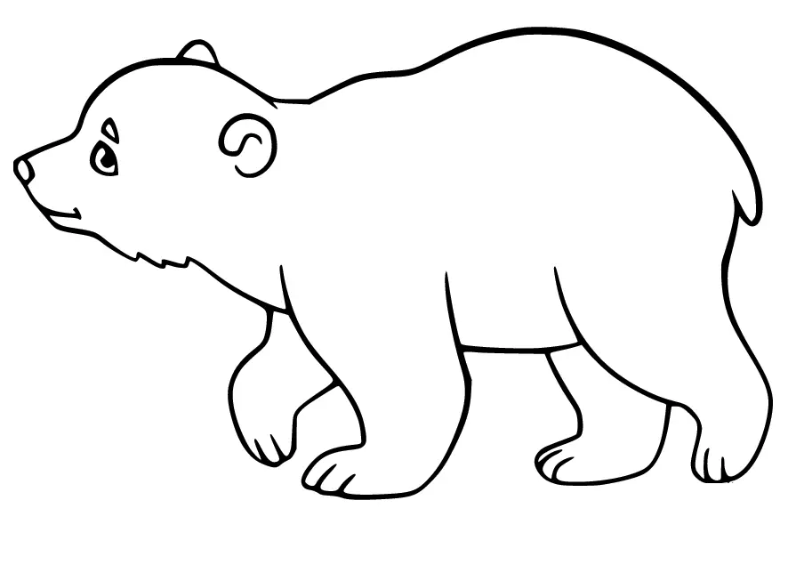 Eisbär Ausmalbilder 19
