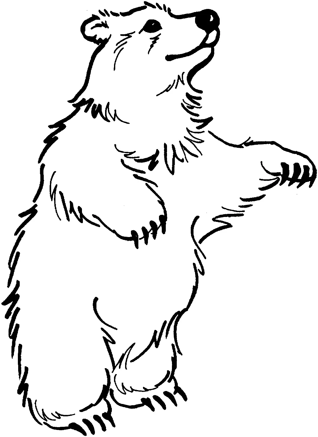 Eisbär Ausmalbilder 20