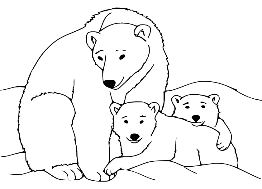 Eisbär Ausmalbilder 21