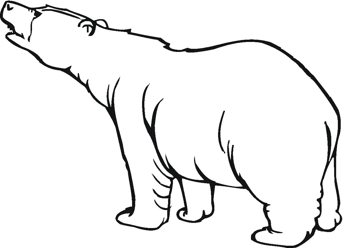 Eisbär Ausmalbilder 38