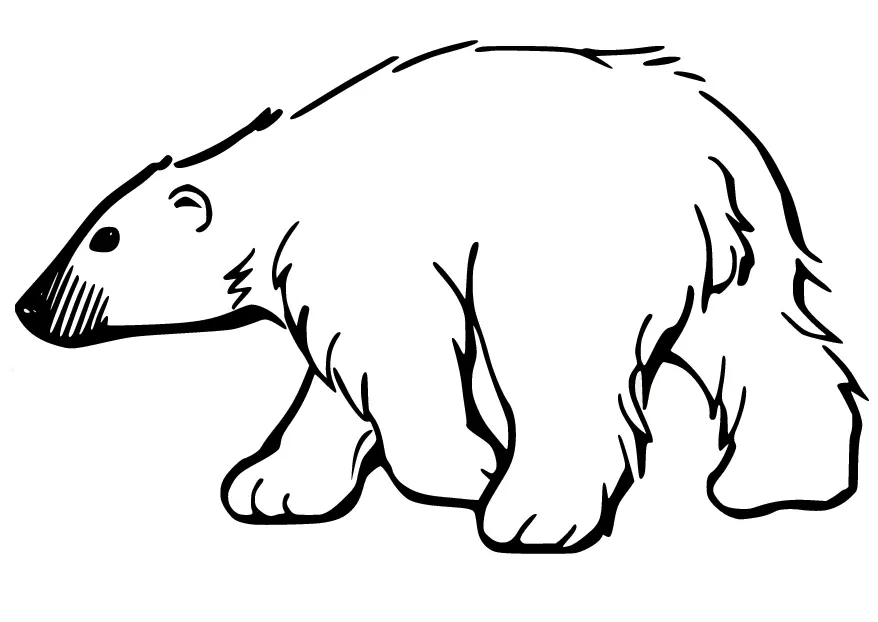 Eisbär Ausmalbilder 43