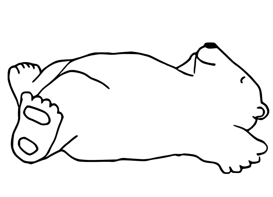 Eisbär Ausmalbilder 45
