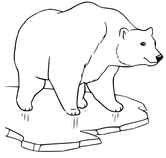 Eisbär Ausmalbilder 6