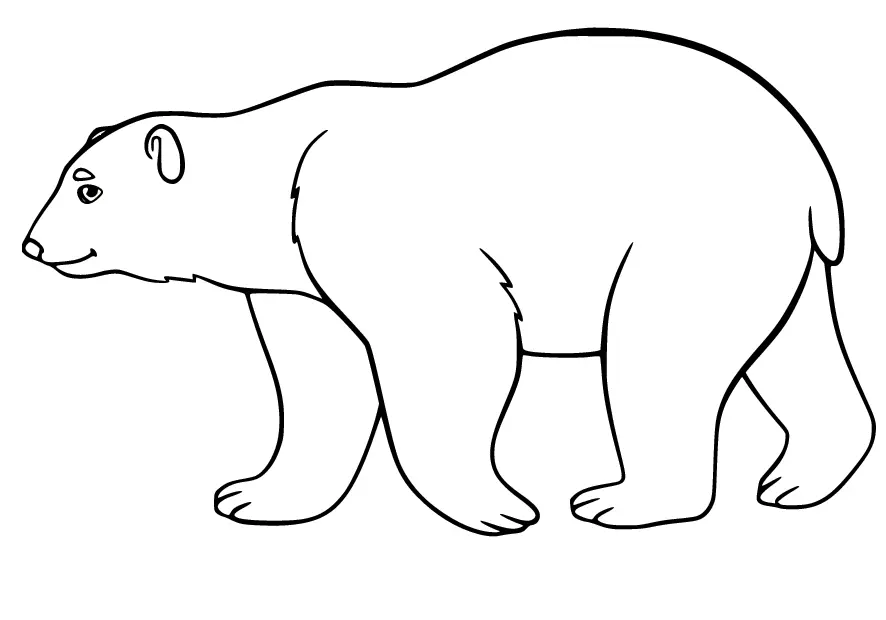 Eisbär Ausmalbilder 9