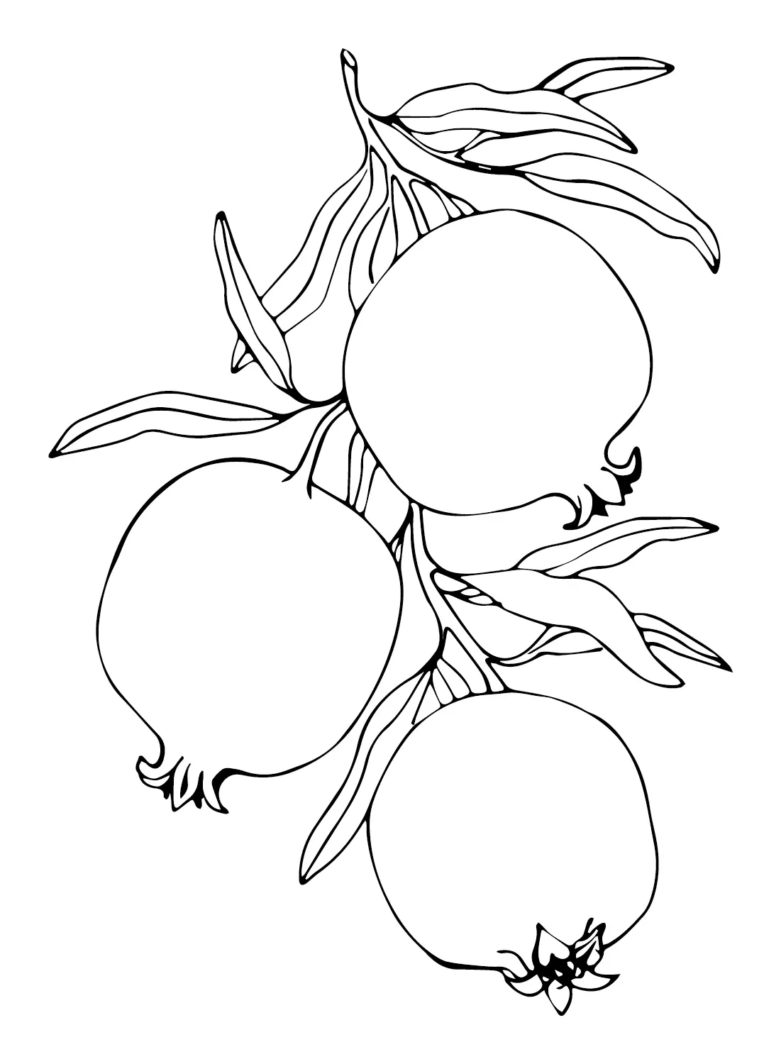 Desenhos de Roma Para Colorir 15
