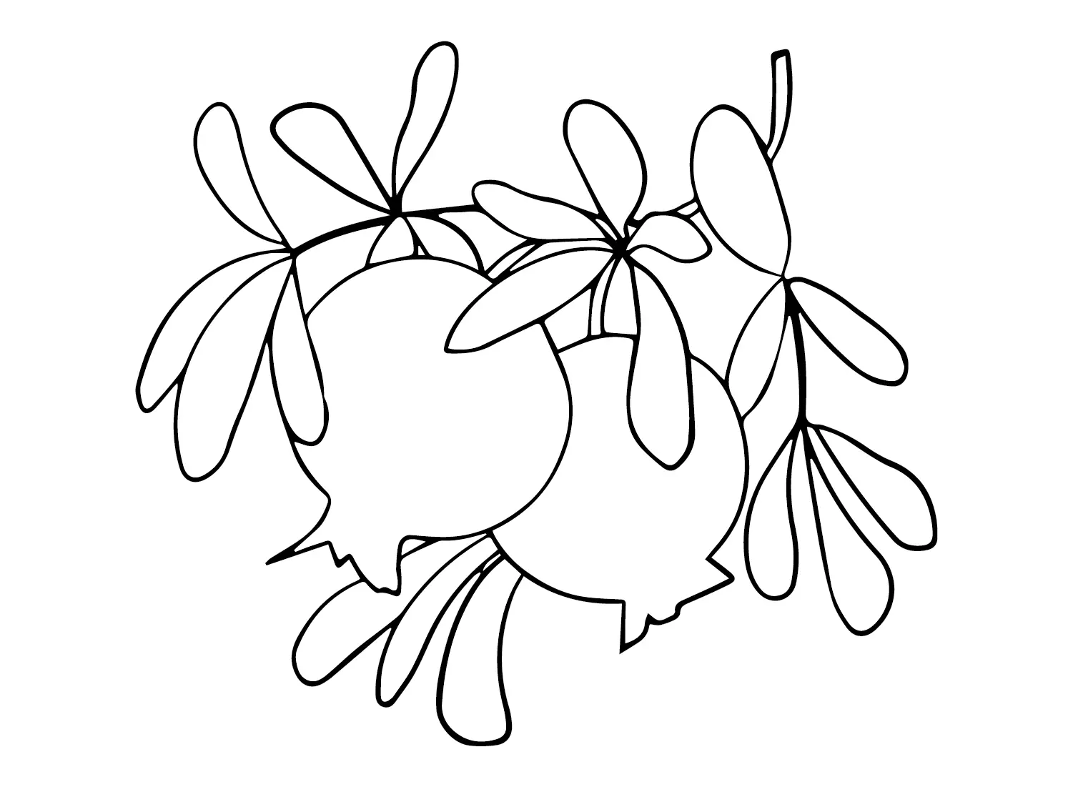 Desenhos de Roma Para Colorir 27