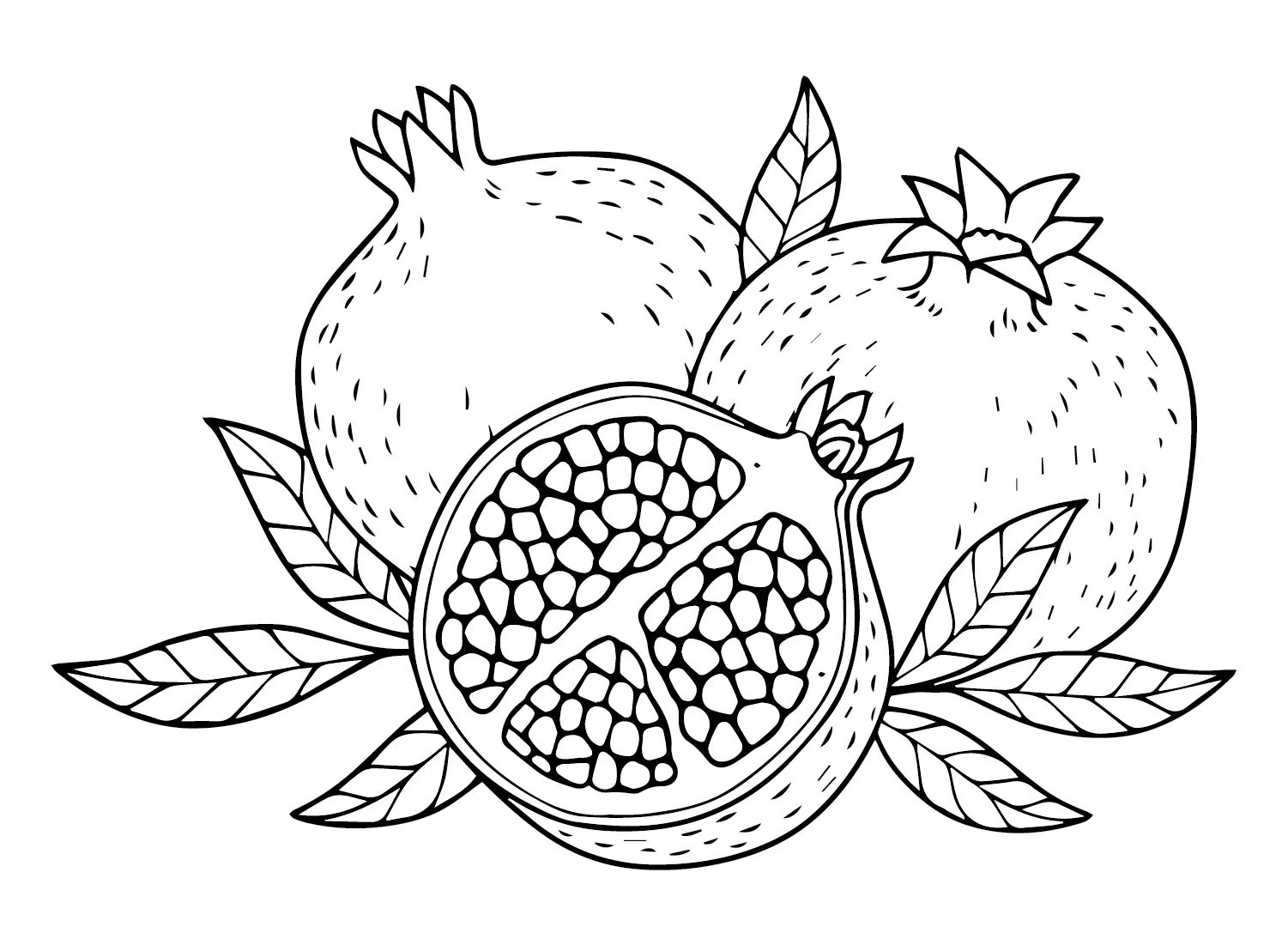 Desenhos de Roma Para Colorir 8