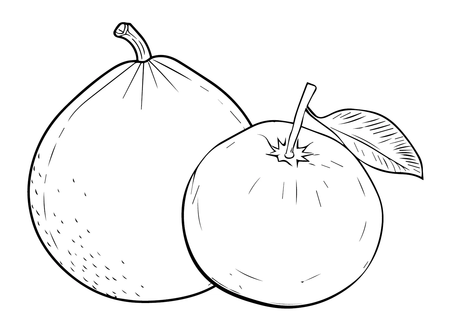 Pomelo Coloring Pages 12