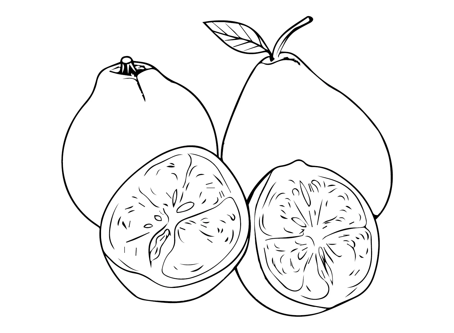 Pomelo Coloring Pages 21