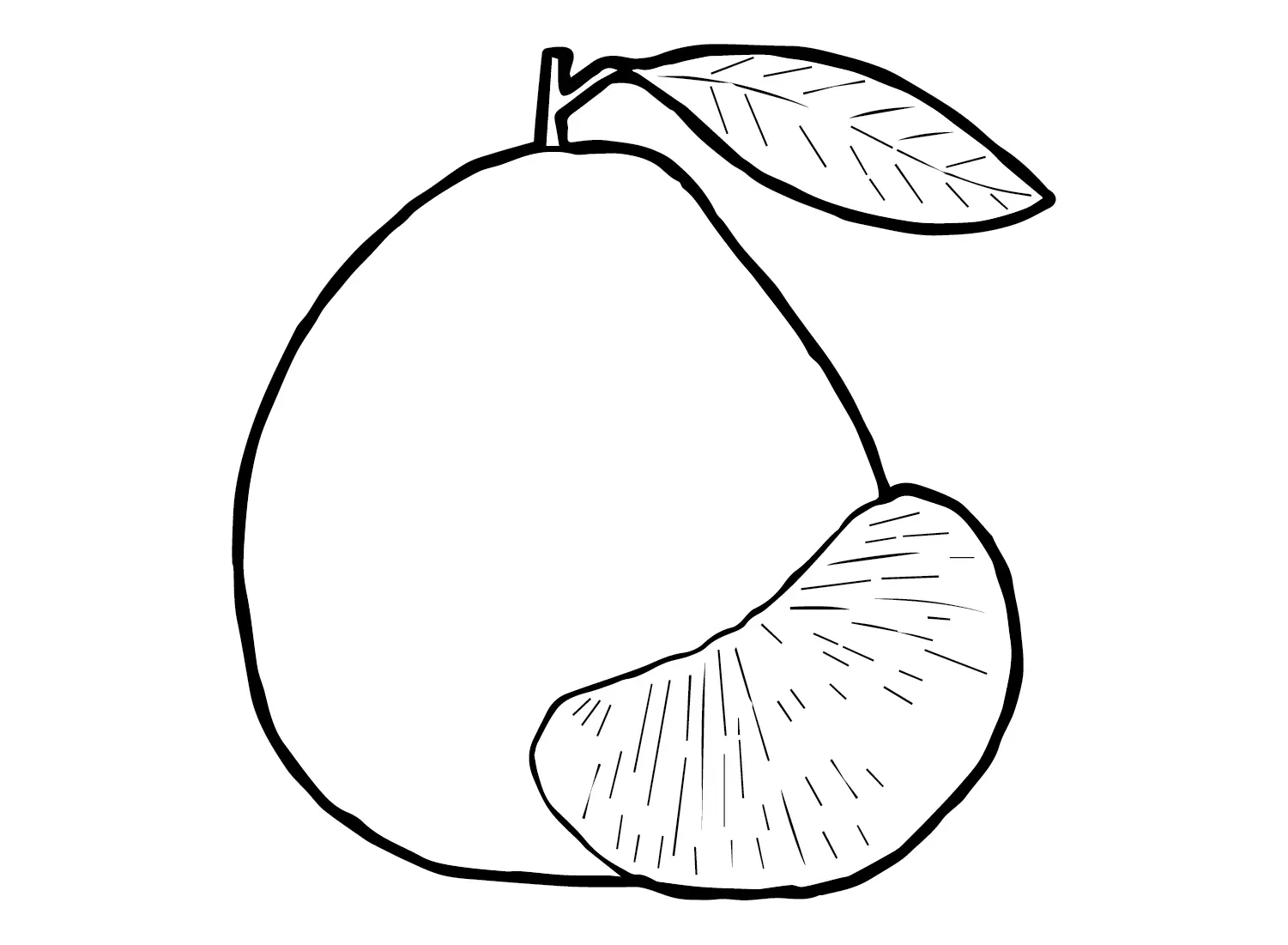 Pomelo Coloring Pages 29