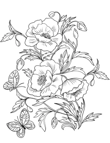 Poppies Coloring Pages 14