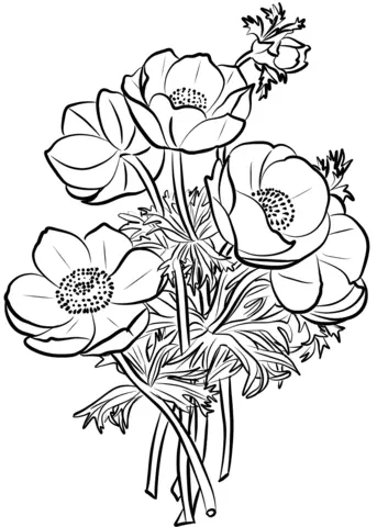 Poppies Coloring Pages 18