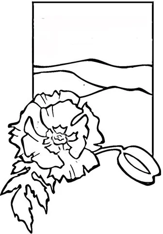 Poppies Coloring Pages 30