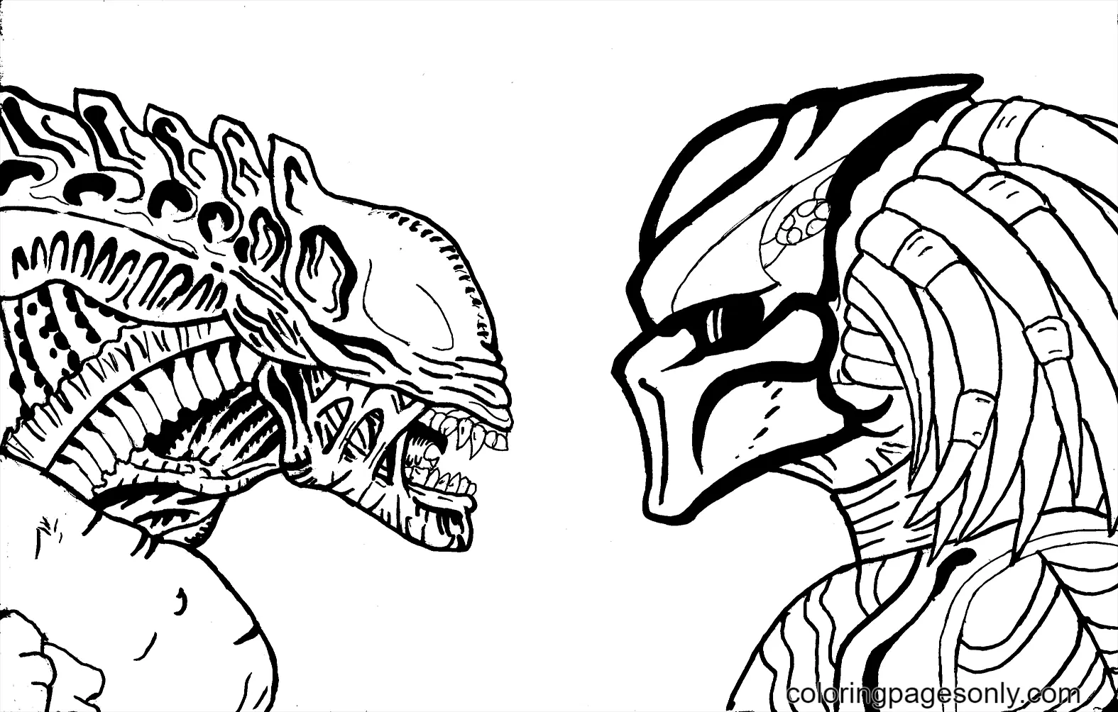 Predator Ausmalbilder 14
