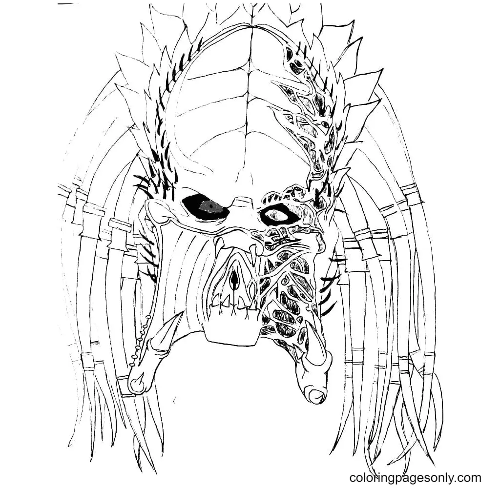 Predator Ausmalbilder 17