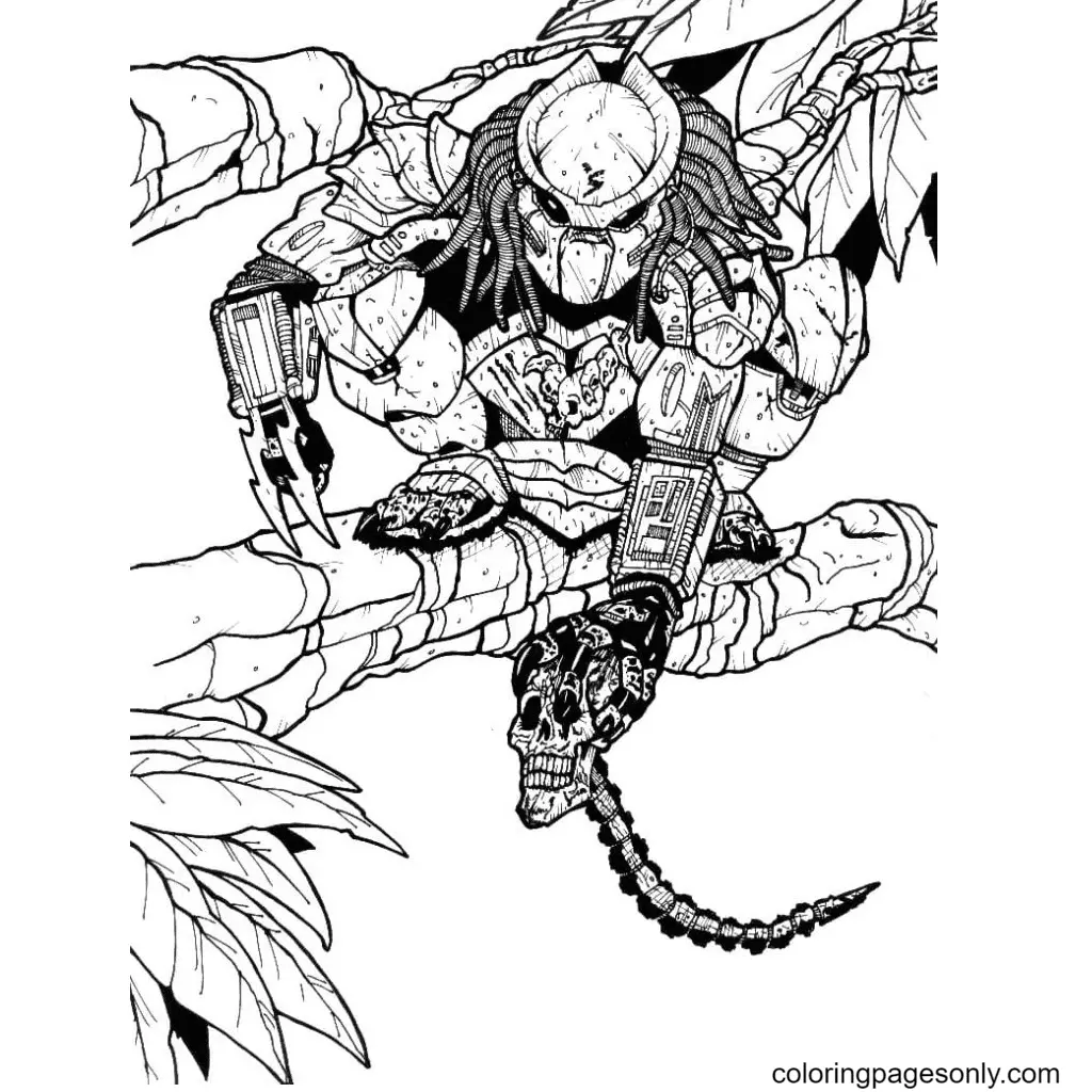 Predator Coloring Pages 46