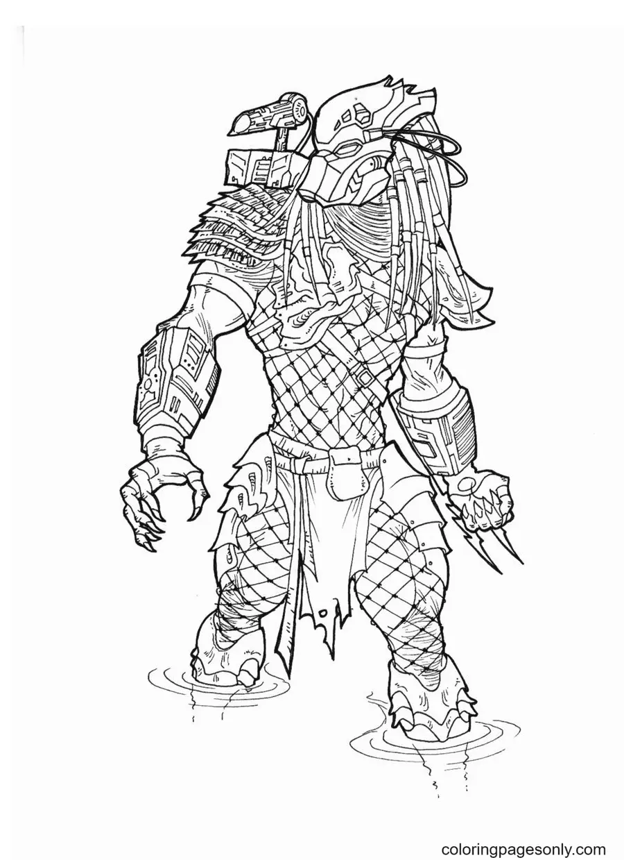 Depredador Para Colorear 59