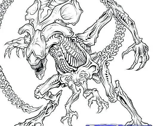 Predator Ausmalbilder 86