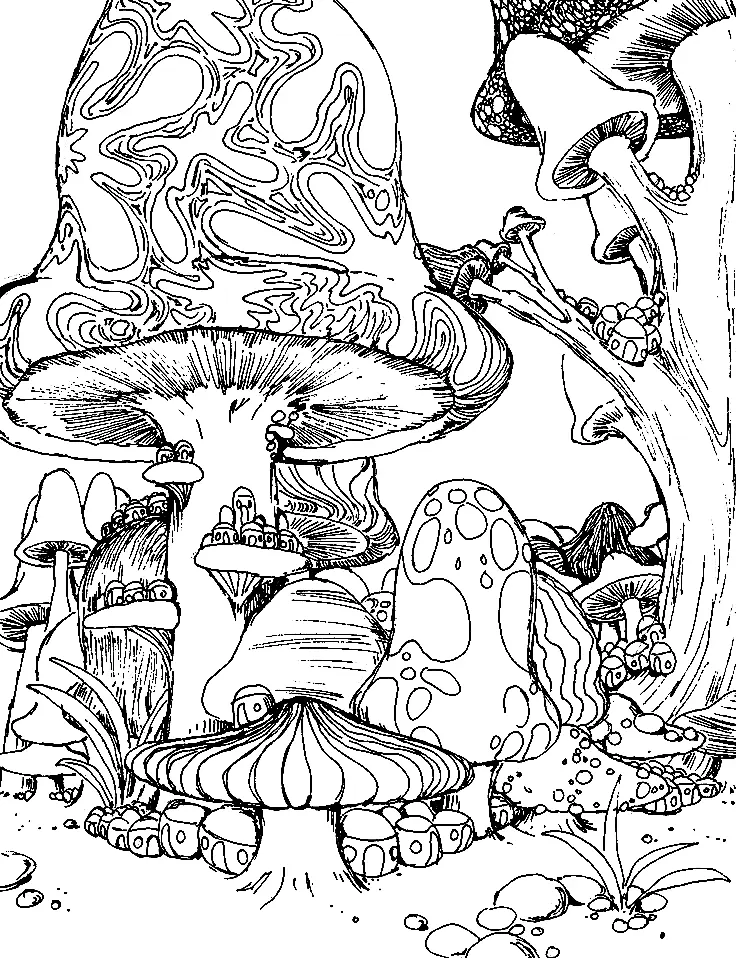 Psicodelicas Para Colorear 6
