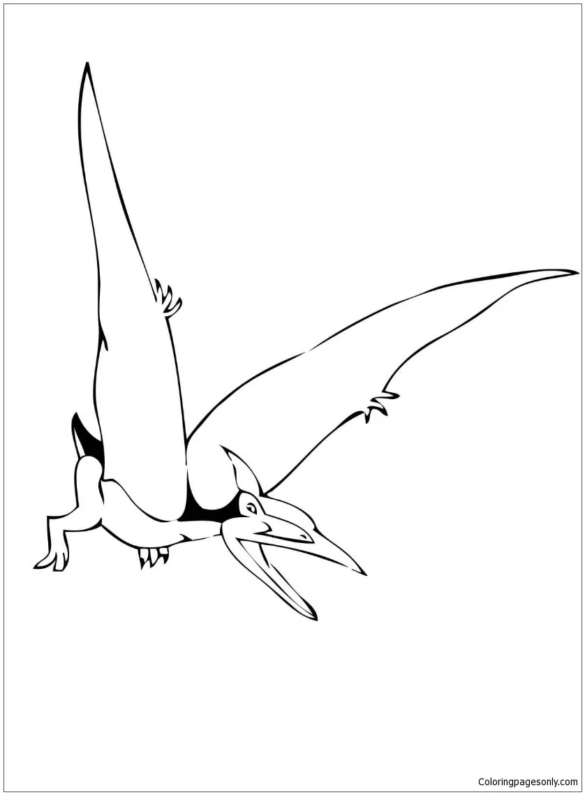 Pteranodon Para Colorear