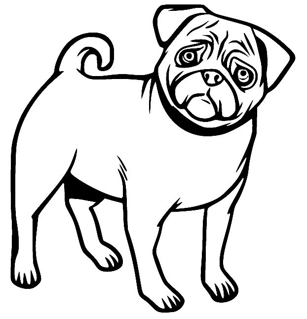 Mops Ausmalbilder 23