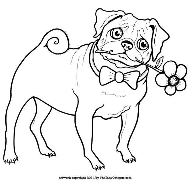 Mops Ausmalbilder 35