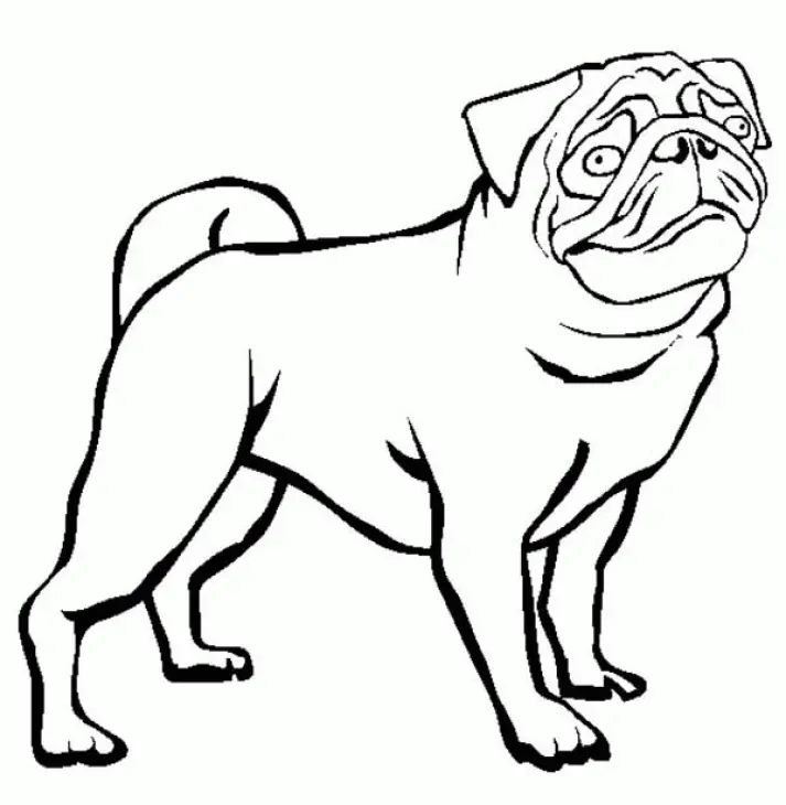 Mops Ausmalbilder 4