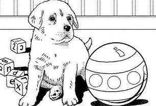 Cachorros Para Colorear 22