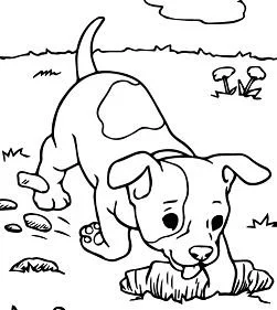 Puppy Dog Pals Coloring Pages 115