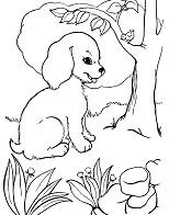 Puppy Dog Pals Coloring Pages 157