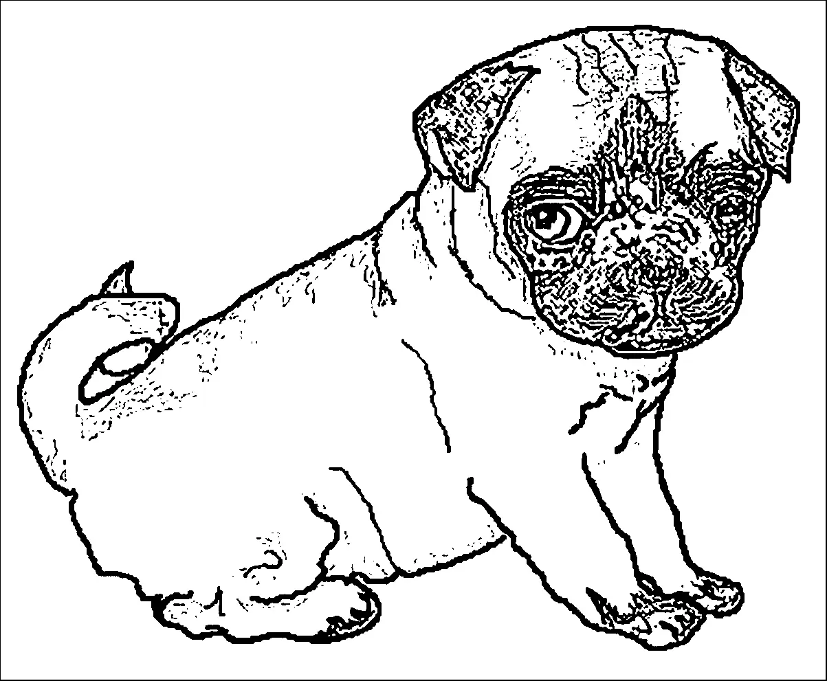 Puppy Dog Pals Coloring Pages 211