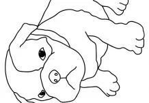 Puppy Dog Pals Coloring Pages 244