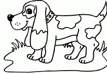 Puppy Dog Pals Coloring Pages 256