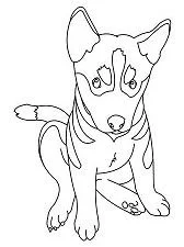 Puppy Dog Pals Coloring Pages 45