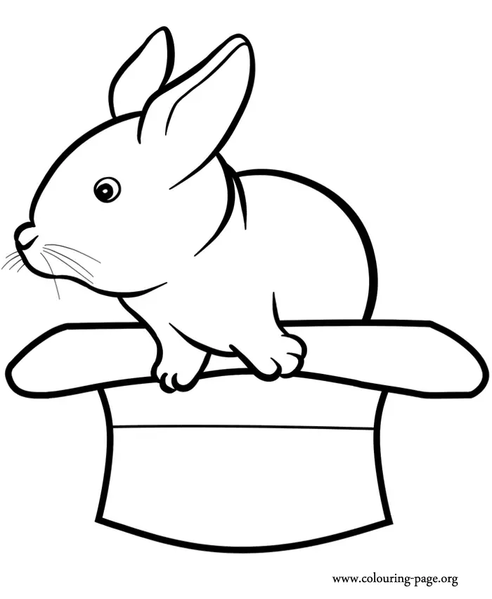 Rabbit Coloring Pages 11