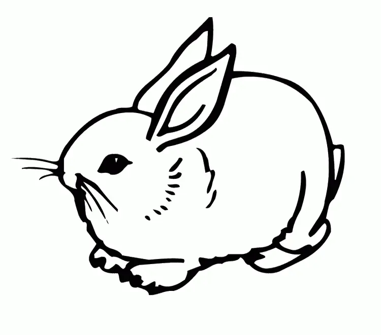 Rabbit Coloring Pages 14
