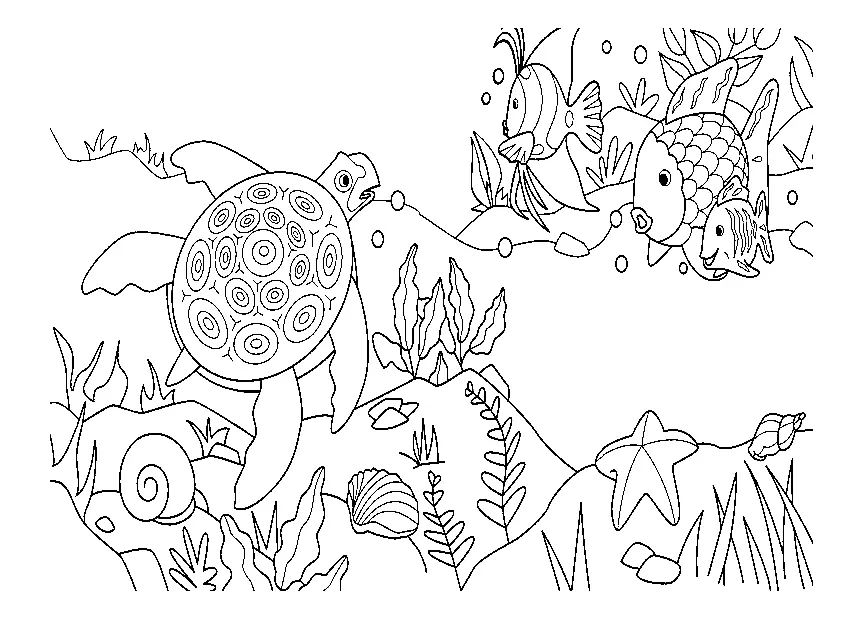 Regenbogenfisch Ausmalbilder 25