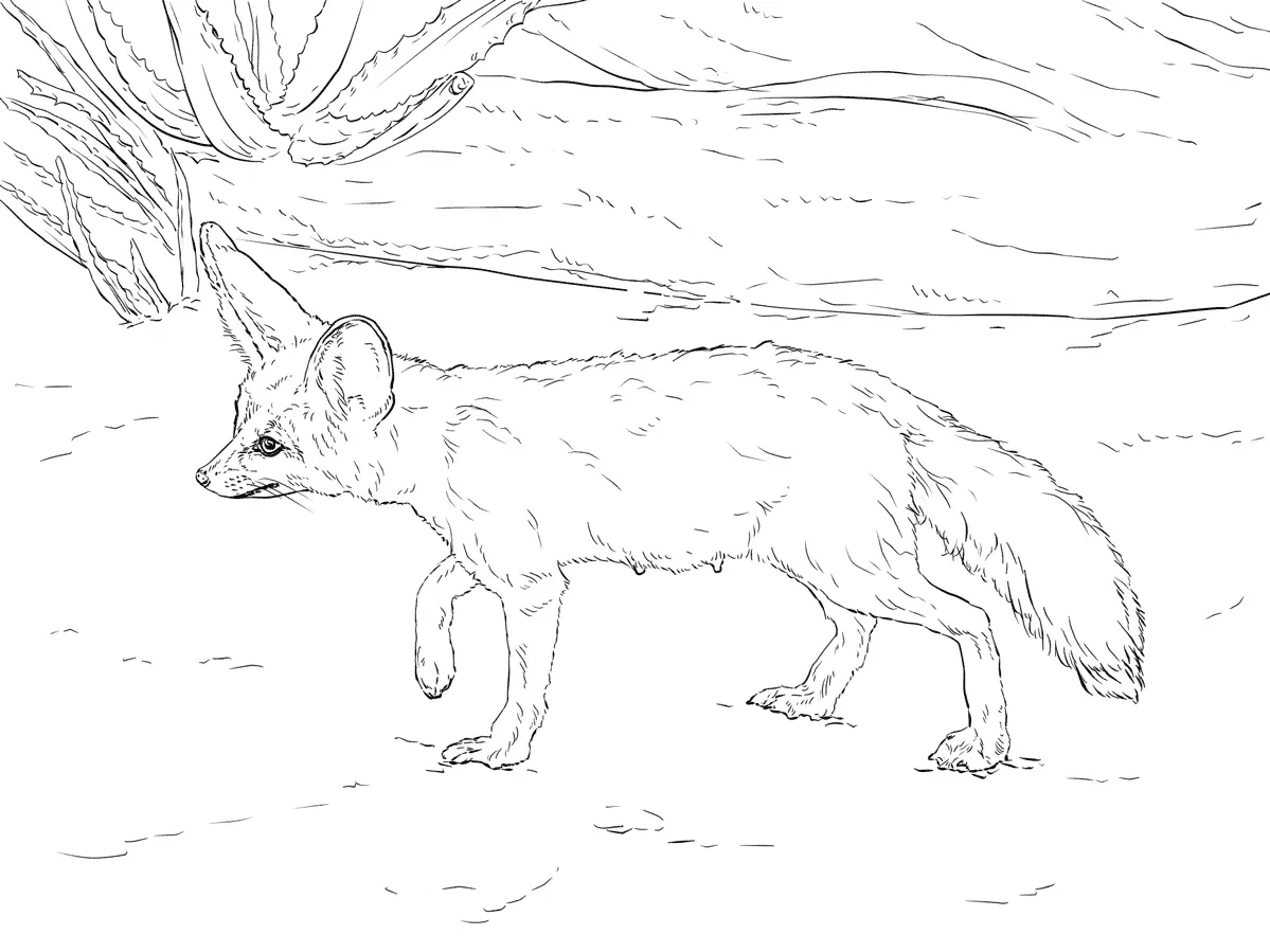 Desenhos de Paginas de Animais Realistas Para Colorir 25