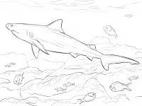 Desenhos de Paginas de Animais Realistas Para Colorir 5
