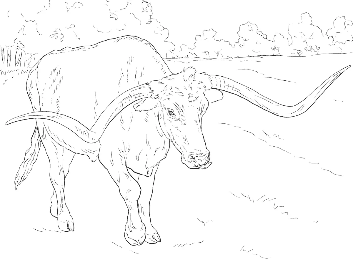 Desenhos de Paginas de Animais Realistas Para Colorir 55