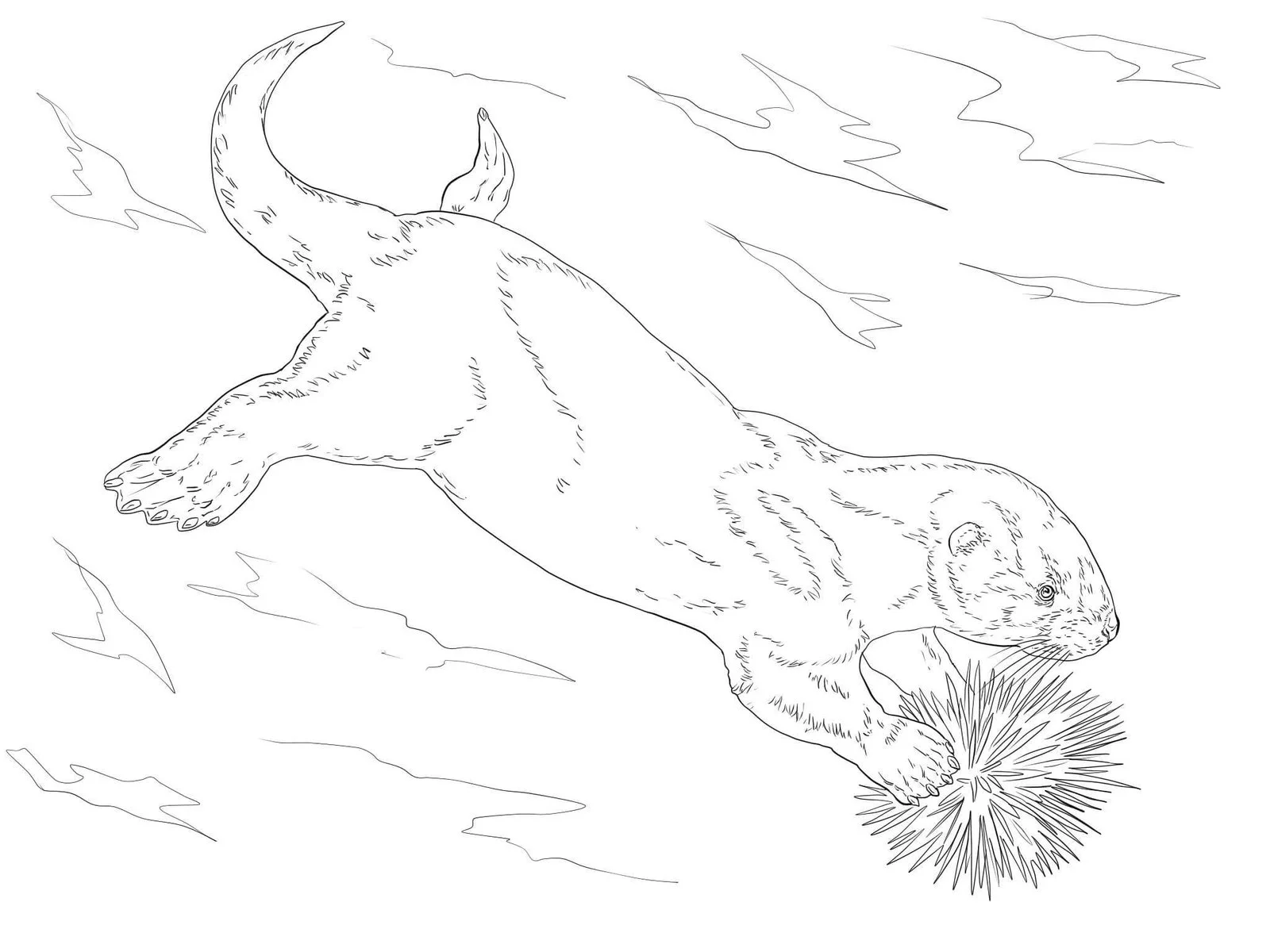 Desenhos de Paginas de Animais Realistas Para Colorir 71