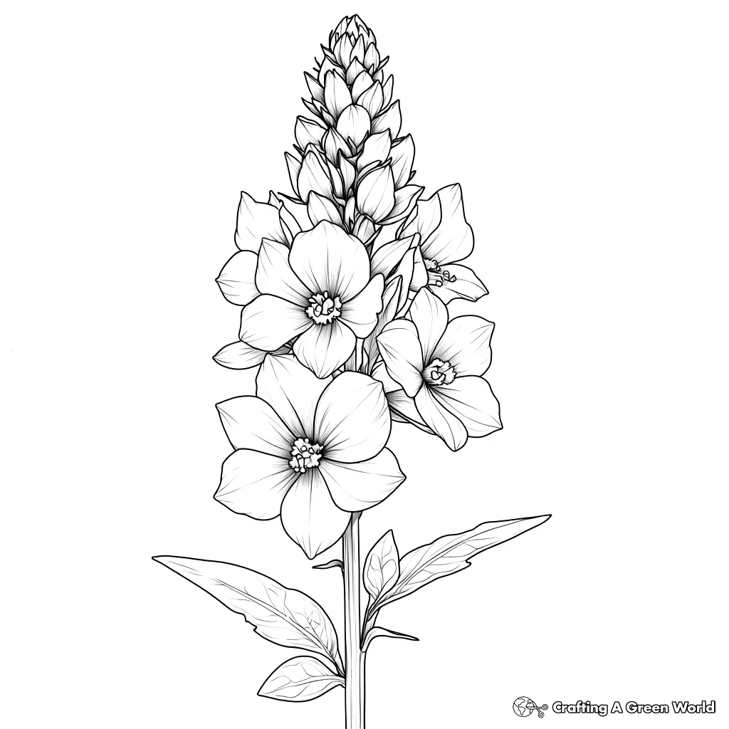 Realistic Flower Coloring Pages 169