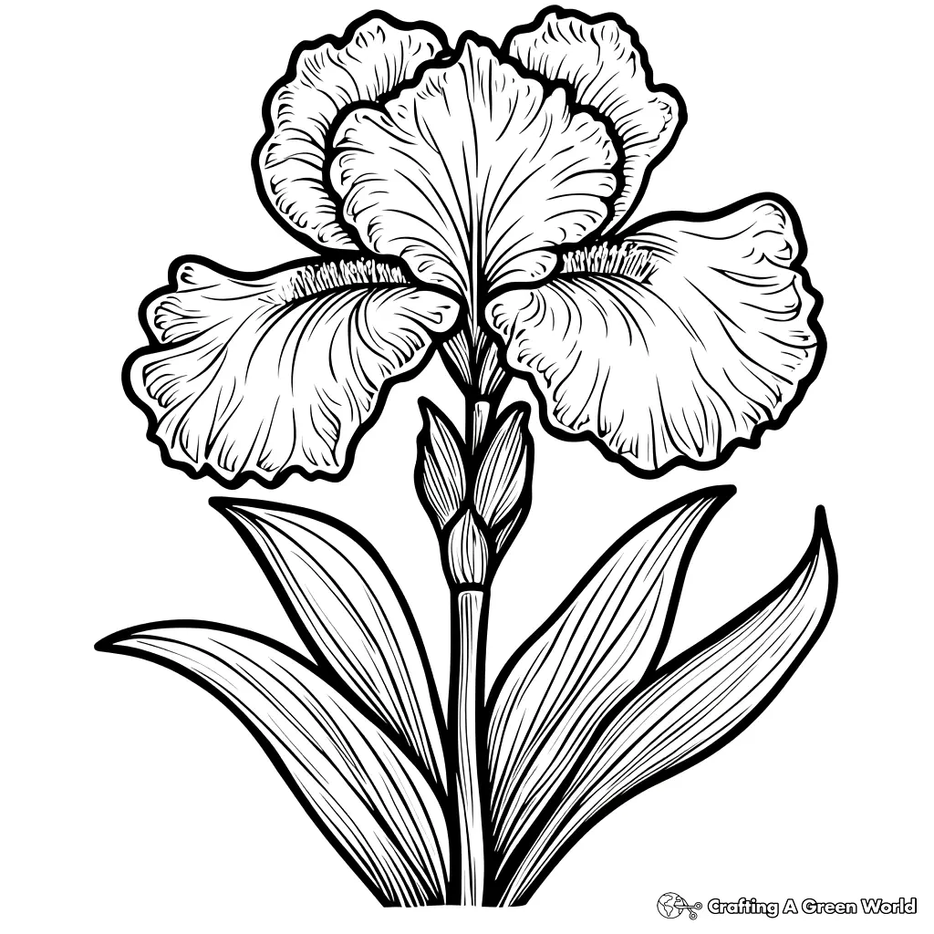 Realistic Flower Coloring Pages 88