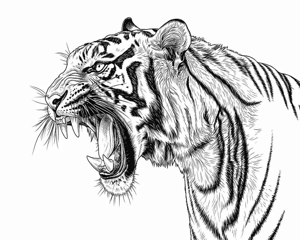 Realistischer Tiger Ausmalbilder 3