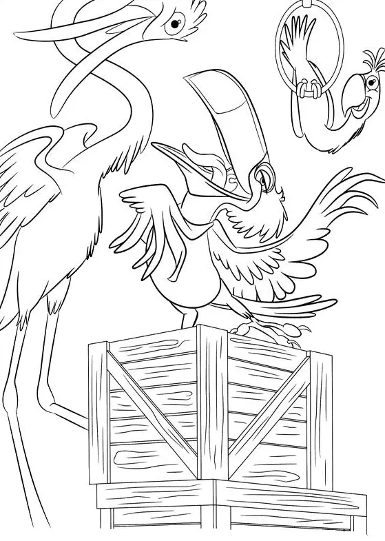 Desenhos de Rio Para Colorir 14