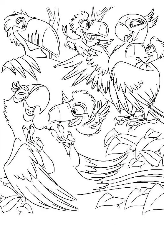 Desenhos de Rio Para Colorir 16