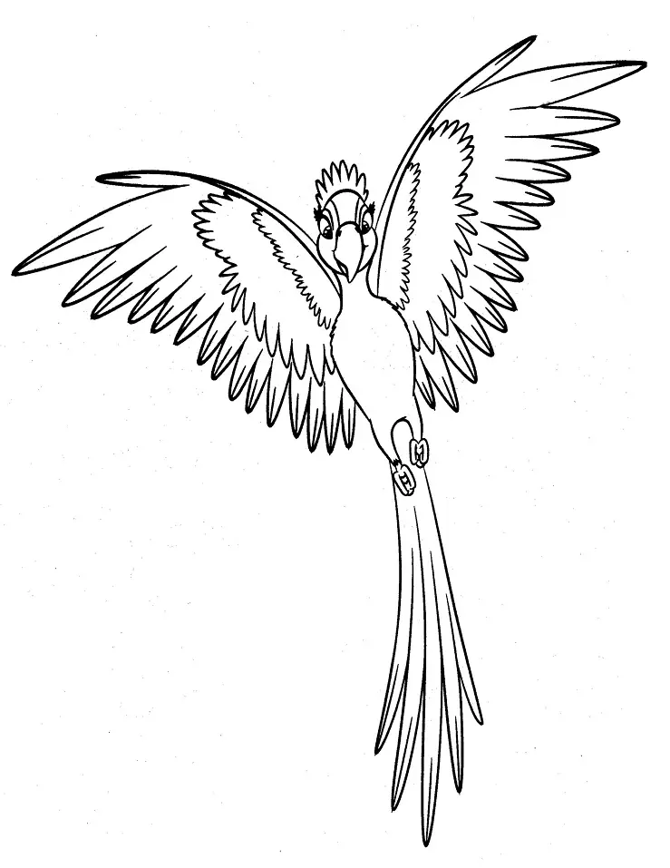 Desenhos de Rio Para Colorir 17