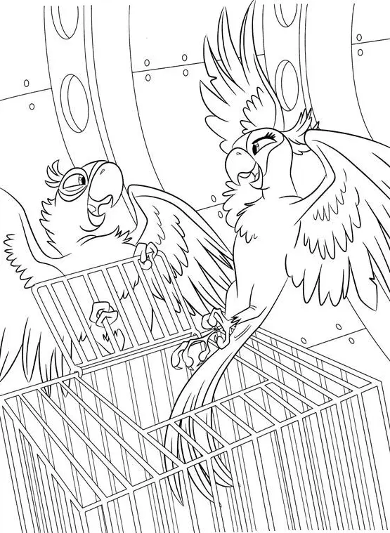 Desenhos de Rio Para Colorir 19