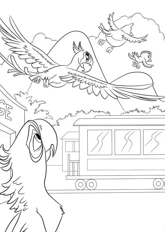 Desenhos de Rio Para Colorir 21