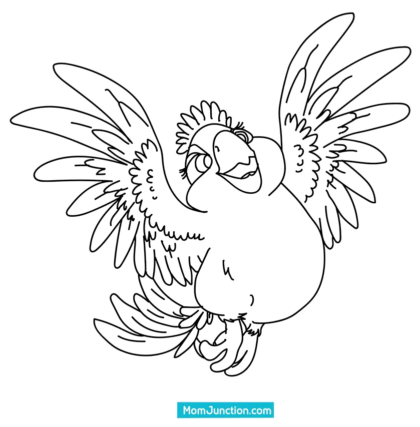 Desenhos de Rio Para Colorir 28